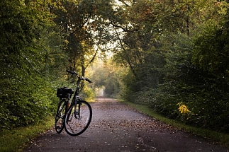 Fahrrad Pixabay.jpg&nbsp;&copy;&nbsp;Pixabay