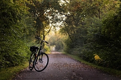 Fahrrad Pixabay.jpg