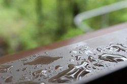 Stadt Barsinghausen startet Förderprogramm für Regenwasserzisternen